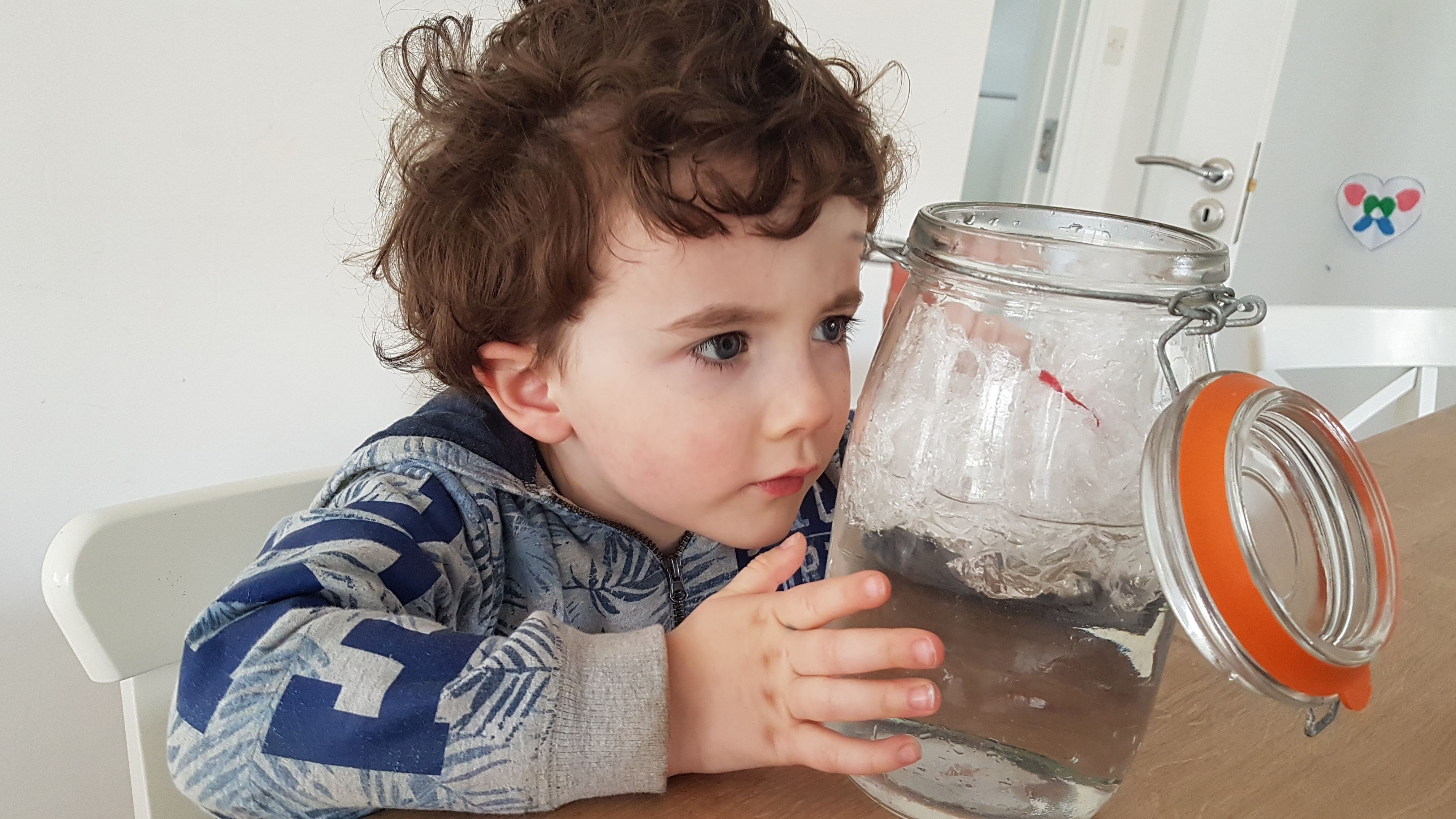 A boy looking at a jar of water he is holding