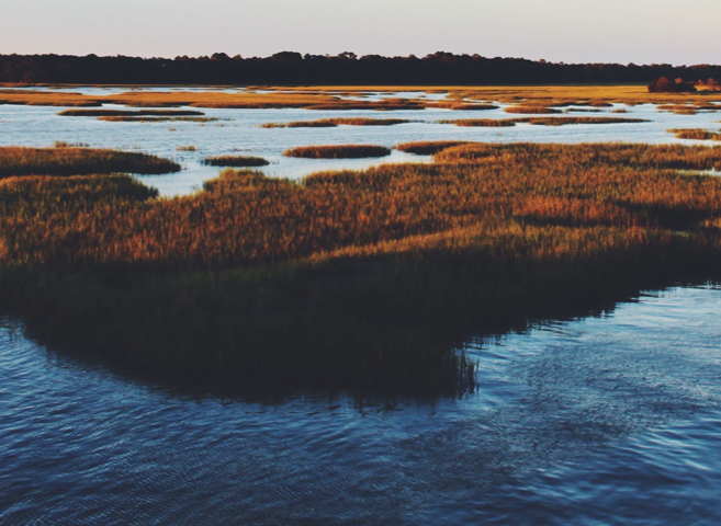 A bog with patches of orange grass and blue water