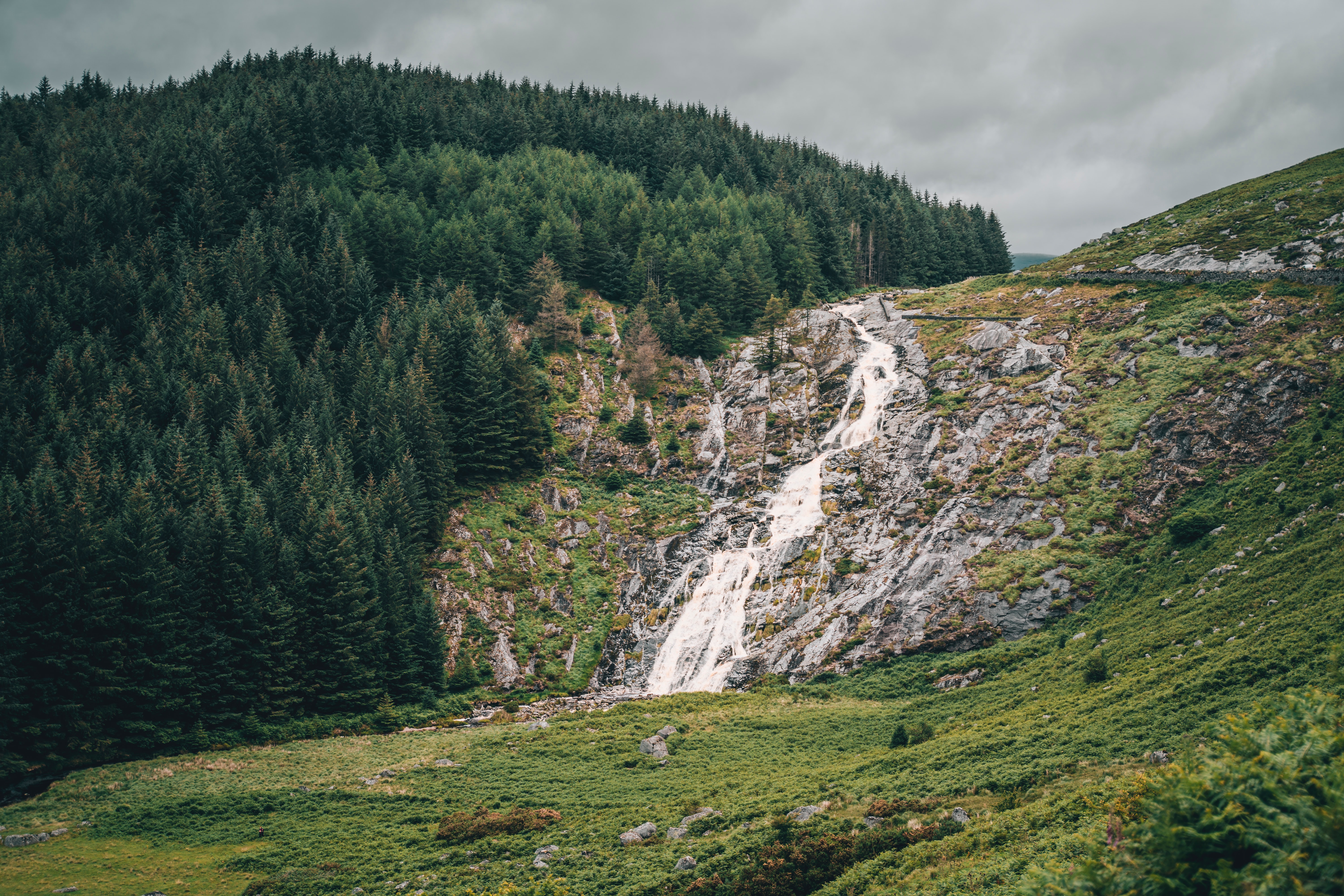 A waterfall on a mountain by a forest